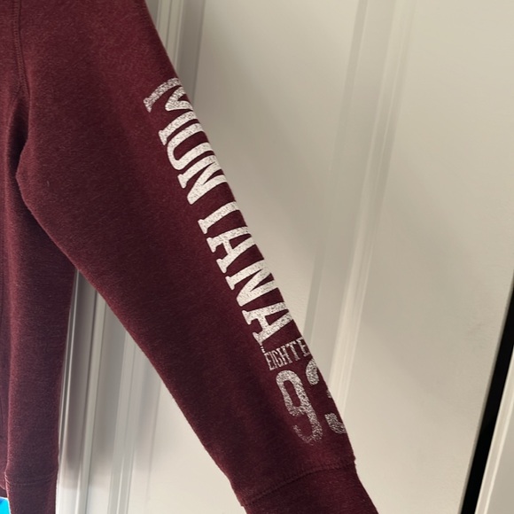 Champion Elite university of Montana grizzlies zip up hoodie size medium - Picture 3 of 7